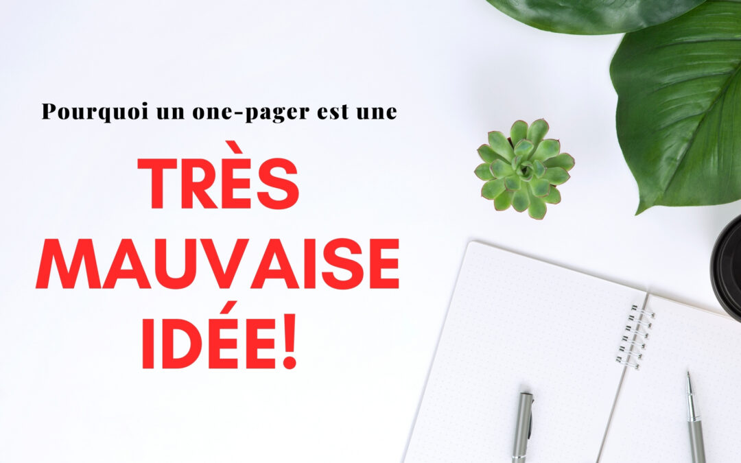 Antiagence-blogue-onepager